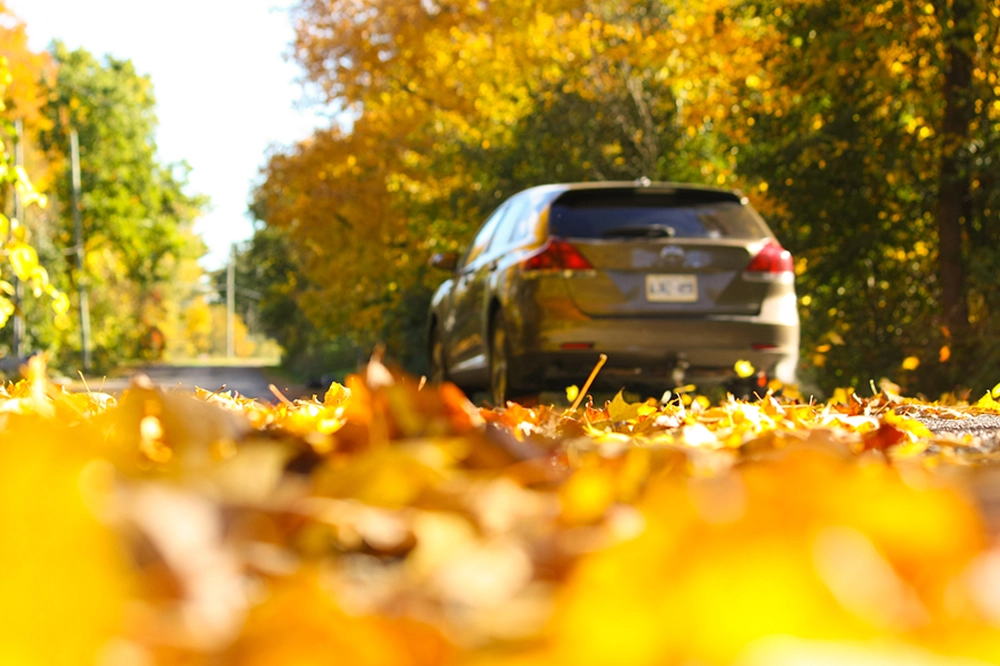 Columbia Auto Care shares how to prepare and protect your car during fall in Columbia, MD.